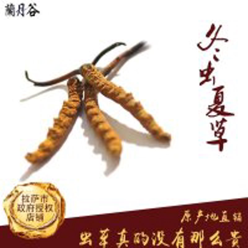 西藏特产直销