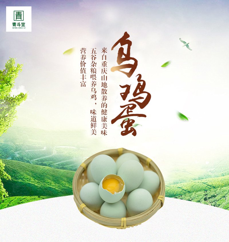 西藏食品批发行业的未来趋势与发展前景如何？